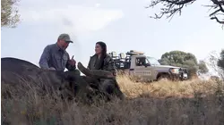 Rhino Horn Trade