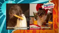 Goodies VS. Baddies | Sharing Superstars & Snacks Stealers