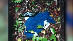 Norwalk officer credited with arrest in 1986 killing of 11-year-old girl testifes at accused killer's trial