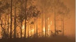 Wildfires Burn Across Georgia and Florida, Destroying Homes