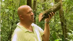 Samoa