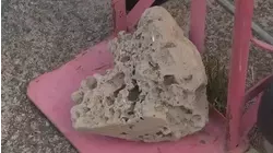 Homeowner looking for answers after claiming Solid Waste removed landscaping stones from property