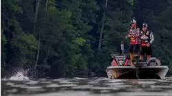 The Competitive Edge