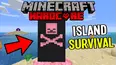 Minecraft Hardcore Survival