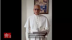 Pope Leo XIV calls for urgent climate action and says God's creation is 'crying out'