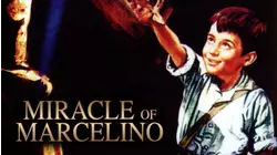 Miracle Of Marcelino