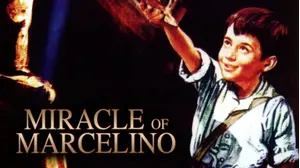 Miracle Of Marcelino