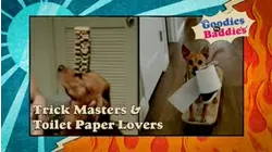 Goodies VS. Baddies | Trick Masters & Toilet Paper Lovers