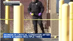 Woman critically injured in South Side stabbing: CPD