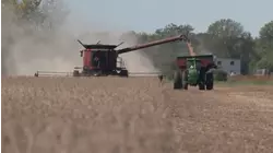 NC soybean farmers set to receive federal assistance