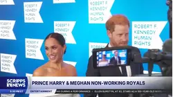 King Charles clarifies status of Prince Harry and his wife after their UK return