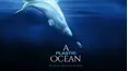 A Plastic Ocean