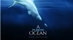 A Plastic Ocean