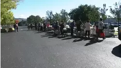 Bay Area food banks mobilize as millions could lose SNAP benefits