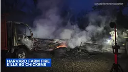 Dozens of chickens killed in McHenry County barn fire, officials say