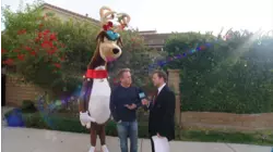 Adam Investigates 12 Days