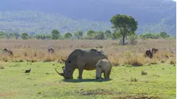THE WATERBERG - MOUNTAINS OF LIFE