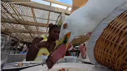 Seagull swoops in, steals a steak off couple's plate in France