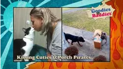 Goodies VS. Baddies | Kissing Kuties & Porch Pirates