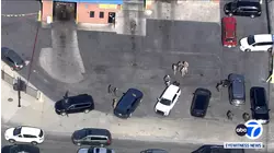 DOJ drops charges against woman shot by CBP agent in Chicago