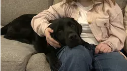 Black Lab Friday: How a service dog named Nantucket changed a Port Jefferson girl's life