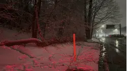 Woman injured after crashing into tree on LIE