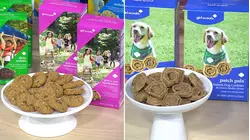 Girl Scouts Unveil New Cookie Flavors and Pup Treats on TODAY!