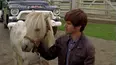 Heartland