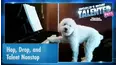 World's Most Talented Pets
