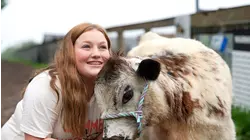 Swartz Farm offers up the cuddles!