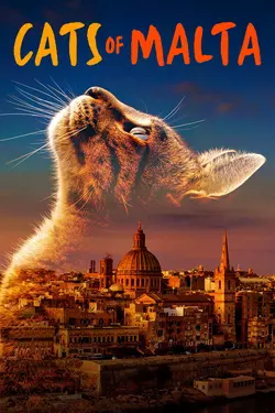 Cats of Malta