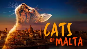 Cats of Malta
