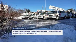 Ocean County sees massive outages after more than 60 trees fall during storm