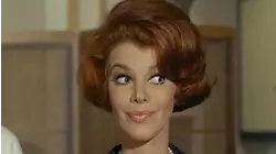 The Honeymoon Apartment