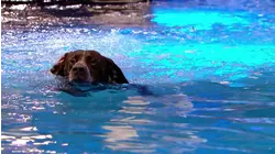 Episode 12, Season 1, Episode 12