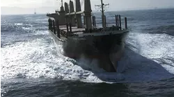 Brass, Ice Patrol, Penjing