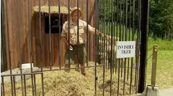 Invisible Tiger