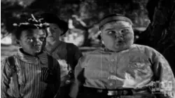 Little Rascals Shorts: Cat, Dog & Co.
