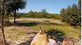How To Do Florida