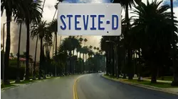 Stevie D