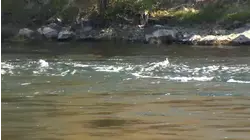 Man who drowned in Kings River at Winton Park identified