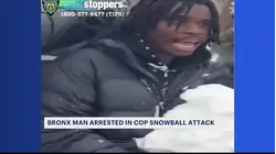 Snowball fight in Washington Square Park sparks debate after arrest was made