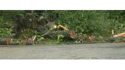 Devastating storm damage prompts state leaders to assess destruction in northwest Connecticut