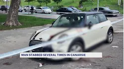 Man stabbed multiple times near Canarsie housing complex