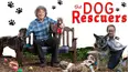 The Dog Rescuers