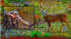 Growing Deer S12:E46 "The Truth about the October Lull"