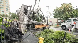 Rare Hurricane in Hawaii Destroys Homes, Knocks Out Power