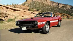 Mustang