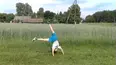 FailFactory