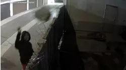 Video shows woman throwing dog over fence in plastic bag in Anaheim